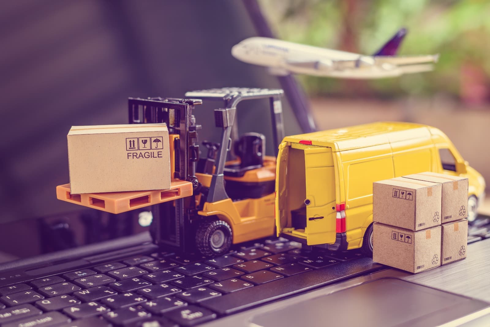 TMS Couriers Module